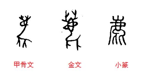 鹿 字|漢字「鹿」：字形演變